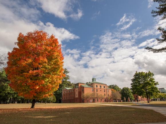 Campus in the fall featuring a tree with leaves turning orange with blue skies in the background.