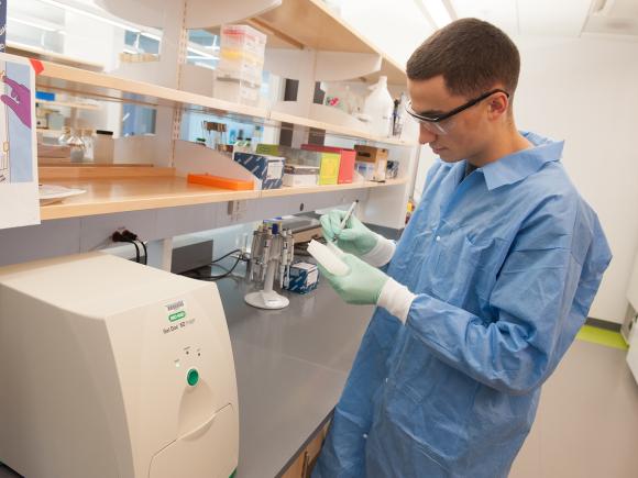 Biology student prepares sample gels for imaging.