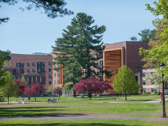 Campus in the spring with flowering trees and blue skies.