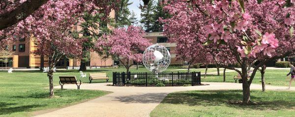 campus